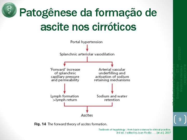 CT de Medicina de Urgência e Emergência CT de Medicina Intensiva CREMEC/CFM 2/25/2021 Patogênese