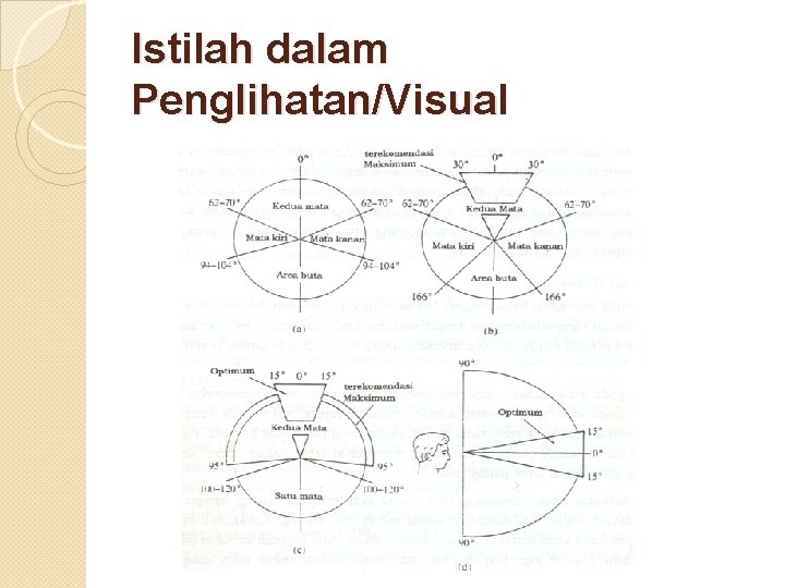 Istilah dalam Penglihatan/Visual 