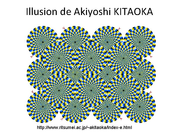 Illusion de Akiyoshi KITAOKA http: //www. ritsumei. ac. jp/~akitaoka/index-e. html 