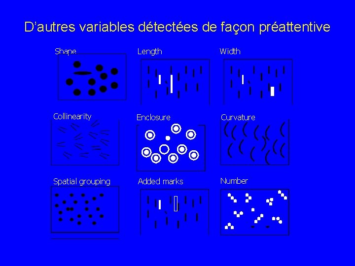 D’autres variables détectées de façon préattentive Shape Length Width Collinearity Enclosure Curvature Spatial grouping