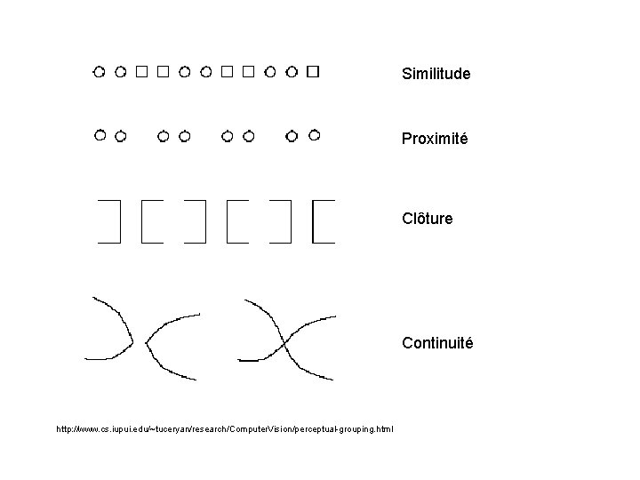 Similitude Proximité Clôture Continuité http: //www. cs. iupui. edu/~tuceryan/research/Computer. Vision/perceptual-grouping. html 