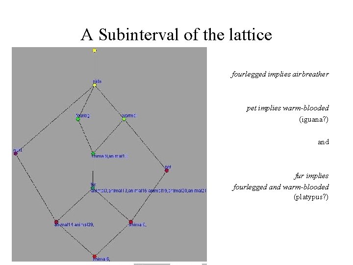 A Subinterval of the lattice fourlegged implies airbreather pet implies warm-blooded (iguana? ) and