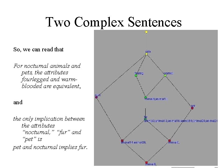 Two Complex Sentences So, we can read that For nocturnal animals and pets, the