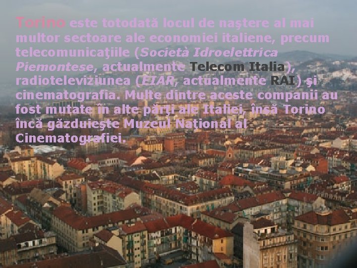 Torino este totodată locul de naştere al mai multor sectoare ale economiei italiene, precum