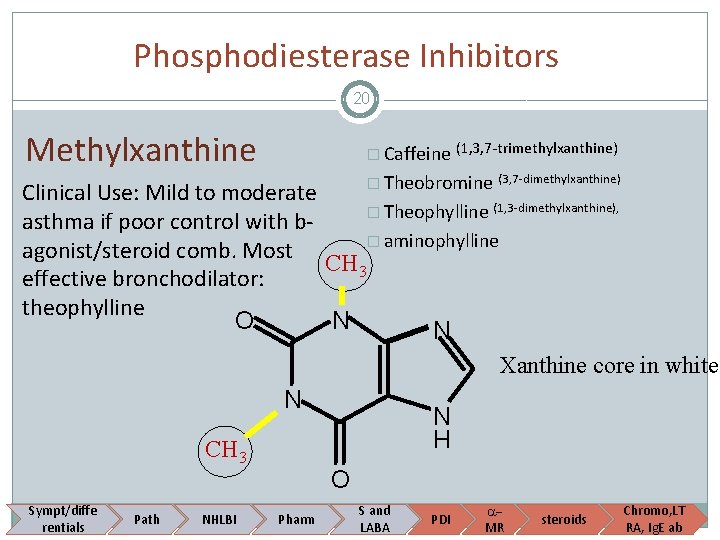 Phosphodiesterase Inhibitors 20 Methylxanthine � Caffeine (1, 3, 7 -trimethylxanthine) � Theobromine (3, 7