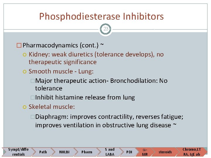 Phosphodiesterase Inhibitors 23 � Pharmacodynamics (cont. ) ~ Kidney: weak diuretics (tolerance develops), no