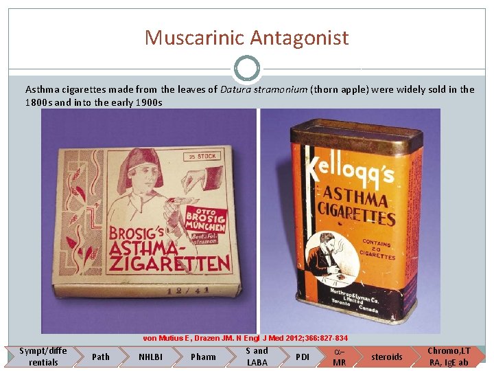 Muscarinic Antagonist Asthma cigarettes made from the leaves of Datura stramonium (thorn apple) were
