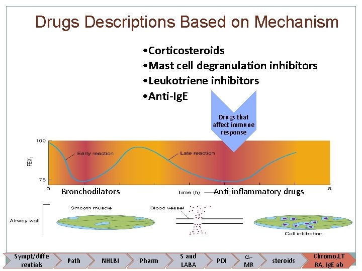 Drugs Descriptions Based on Mechanism • Corticosteroids • Mast cell degranulation inhibitors • Leukotriene