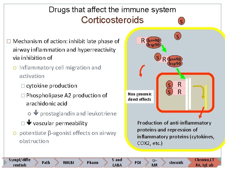 Drugs that affect the immune system Corticosteroids R � Mechanism of action: inhibit late