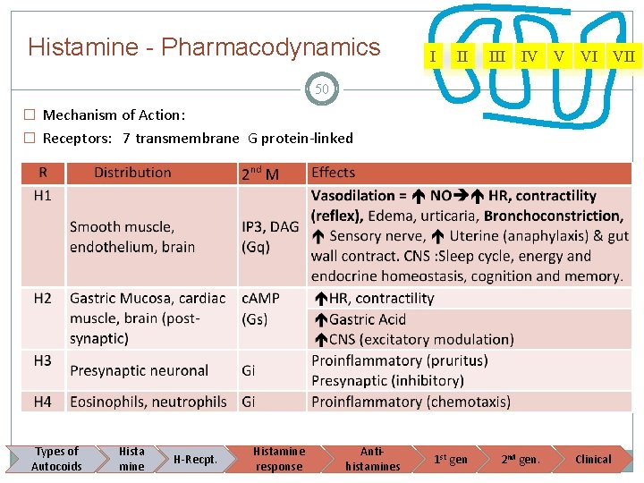 Histamine - Pharmacodynamics I II IV V VI VII 50 � Mechanism of Action: