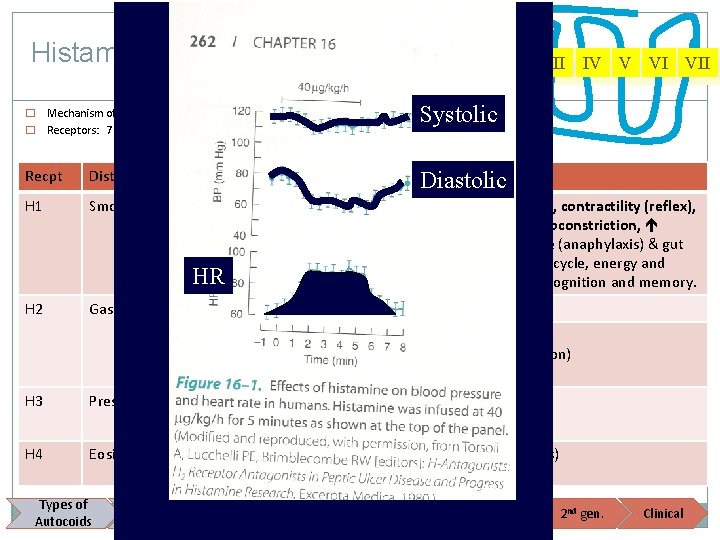 Histamine - Pharmacodynamics 51 Mechanism of Action: � Receptors: 7 transmembrane G protein-linked �