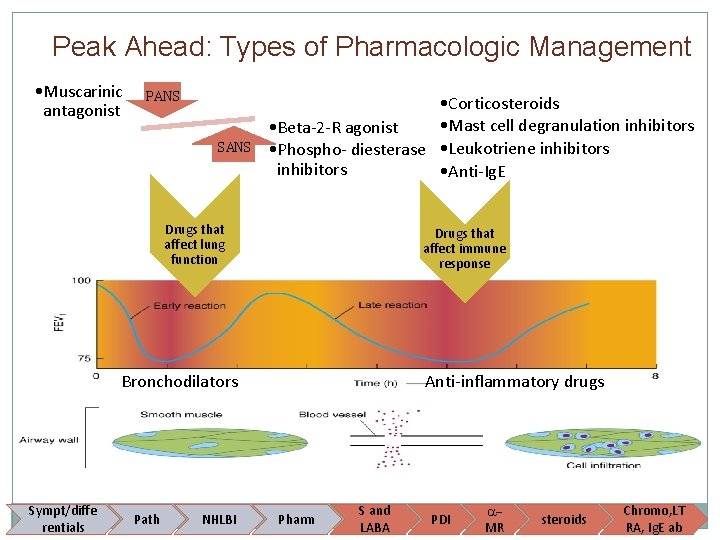 Peak Ahead: Types of Pharmacologic Management • Muscarinic antagonist PANS SANS • Corticosteroids •