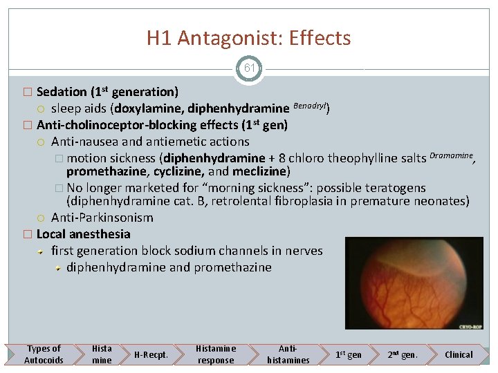 H 1 Antagonist: Effects 61 � Sedation (1 st generation) sleep aids (doxylamine, diphenhydramine