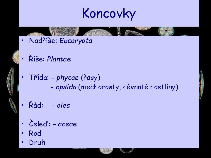 Koncovky • Nadříše: Eucaryota • Říše: Plantae • Třída: - phycae (řasy) - opsida