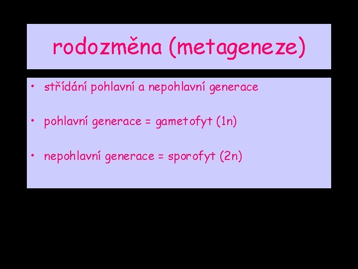 rodozměna (metageneze) • střídání pohlavní a nepohlavní generace • pohlavní generace = gametofyt (1