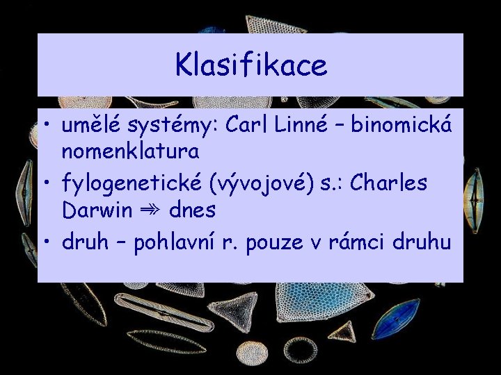 Klasifikace • umělé systémy: Carl Linné – binomická nomenklatura • fylogenetické (vývojové) s. :
