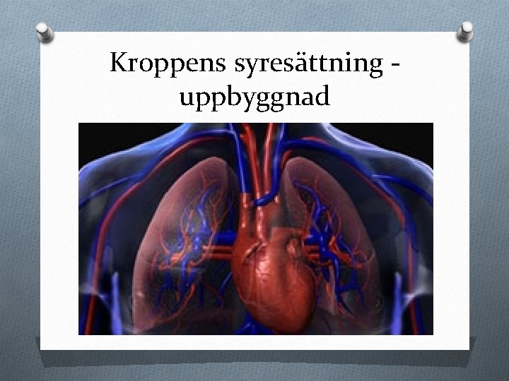 Kroppens syresättning uppbyggnad 