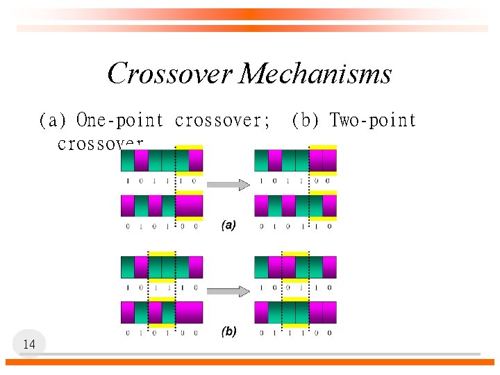 Crossover Mechanisms (a) One-point crossover; crossover 14 (b) Two-point 