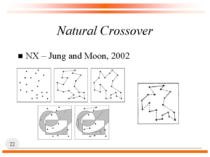 Natural Crossover n 22 NX – Jung and Moon, 2002 