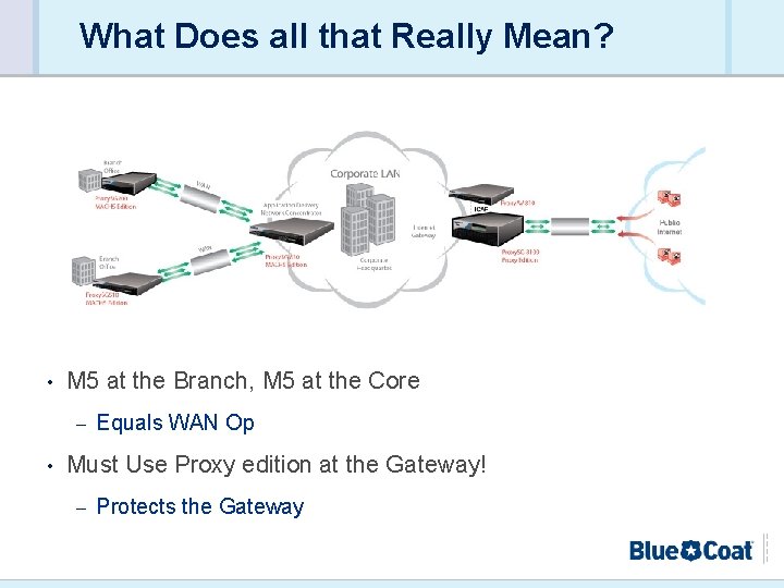 what does it mean to be a proxy holder