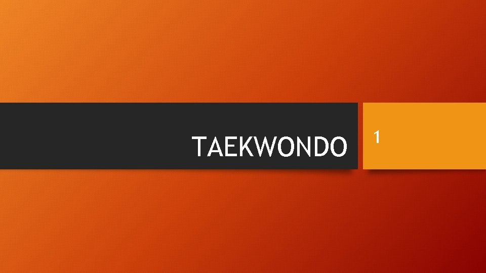 TAEKWONDO 1 