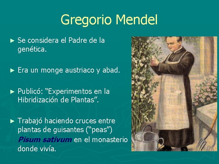 Gregorio Mendel ► Se considera el Padre de la genética. ► Era un monge