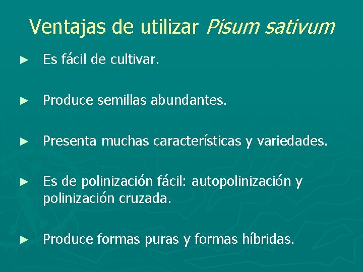 Ventajas de utilizar Pisum sativum ► Es fácil de cultivar. ► Produce semillas abundantes.