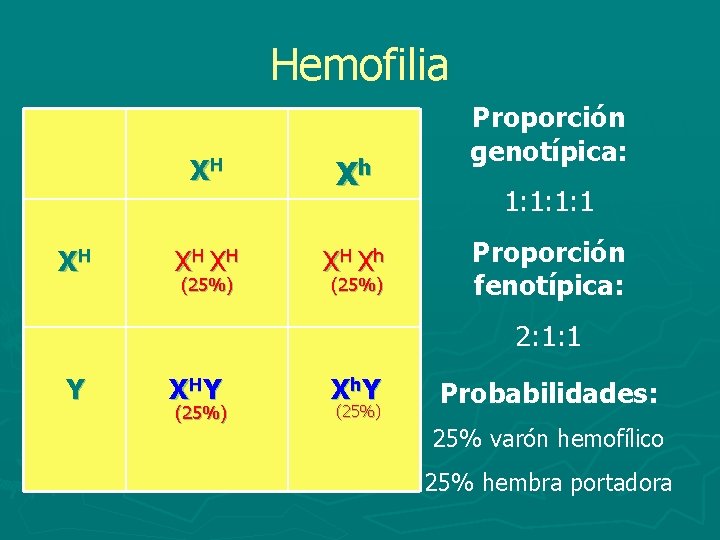 Hemofilia XH XH Xh XH XH XH Xh (25%) Proporción genotípica: 1: 1 Proporción