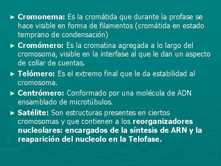 Cromonema: Es la cromátida que durante la profase se hace visible en forma de