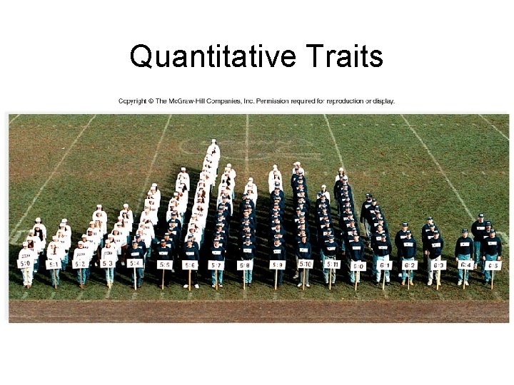 Quantitative Traits 