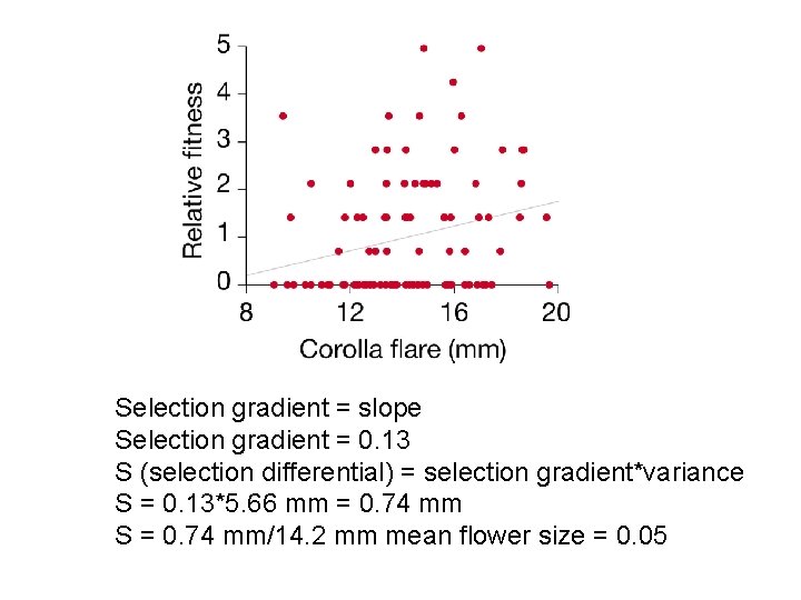 Selection gradient = slope Selection gradient = 0. 13 S (selection differential) = selection