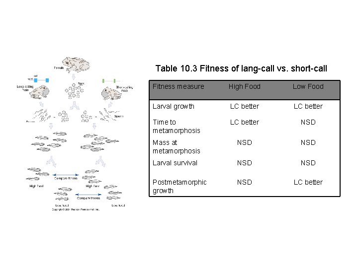 Table 10. 3 Fitness of lang-call vs. short-call Fitness measure High Food Low Food