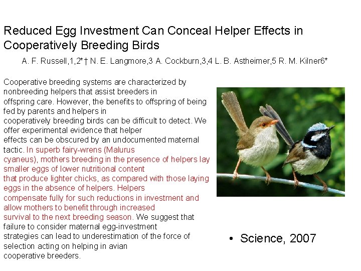 Reduced Egg Investment Can Conceal Helper Effects in Cooperatively Breeding Birds A. F. Russell,