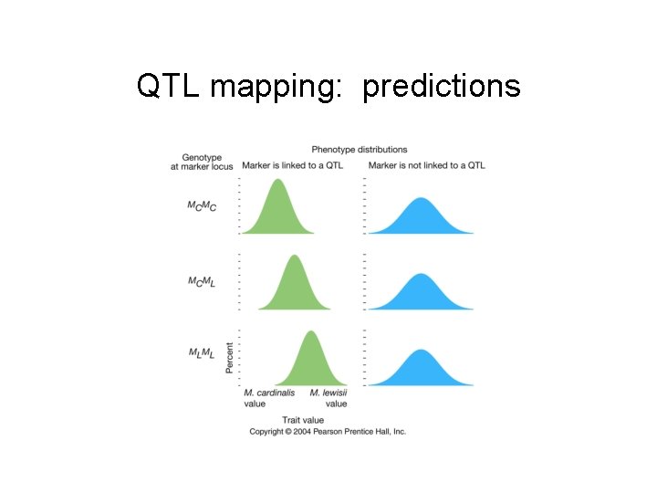 QTL mapping: predictions 