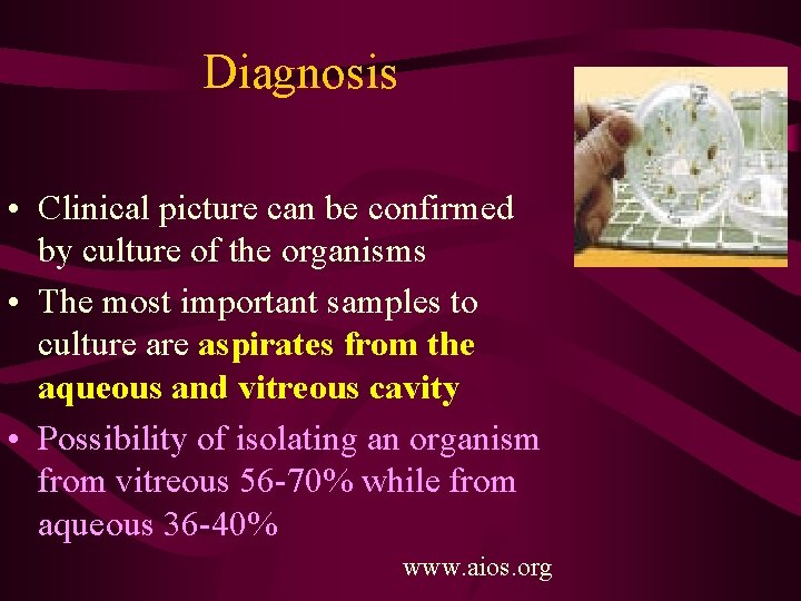 Diagnosis • Clinical picture can be confirmed by culture of the organisms • The