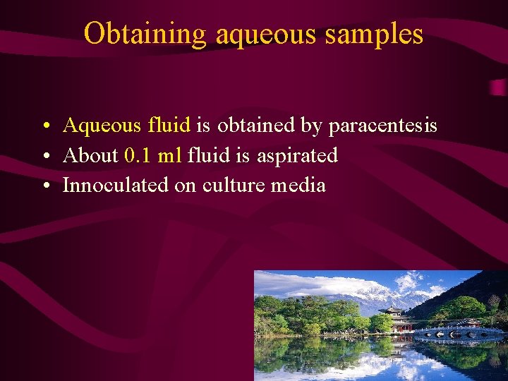 Obtaining aqueous samples • Aqueous fluid is obtained by paracentesis • About 0. 1