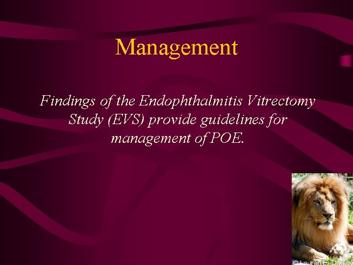 Management Findings of the Endophthalmitis Vitrectomy Study (EVS) provide guidelines for management of POE.