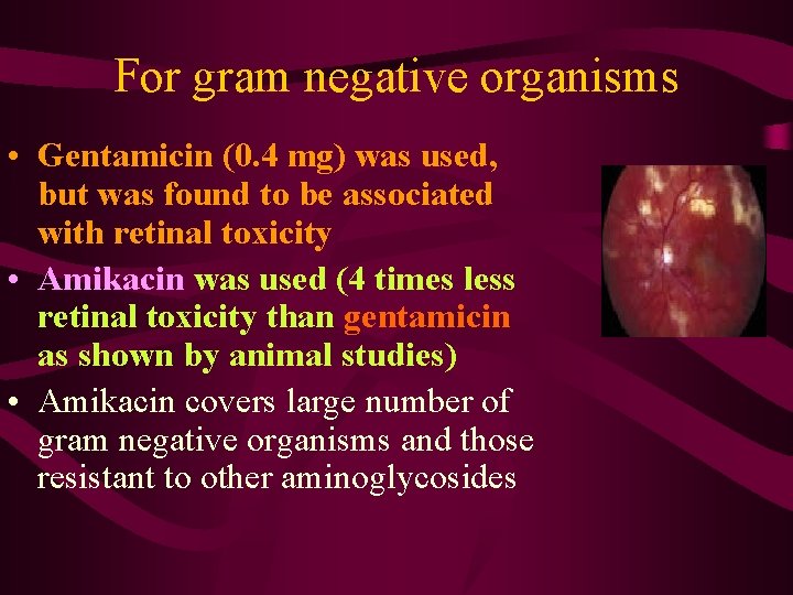 For gram negative organisms • Gentamicin (0. 4 mg) was used, but was found