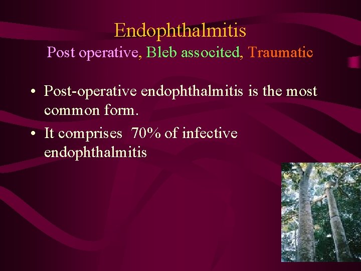 Endophthalmitis Post operative, Bleb associted, Traumatic • Post-operative endophthalmitis is the most common form.