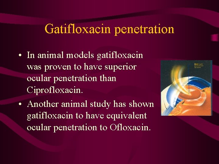 Gatifloxacin penetration • In animal models gatifloxacin was proven to have superior ocular penetration