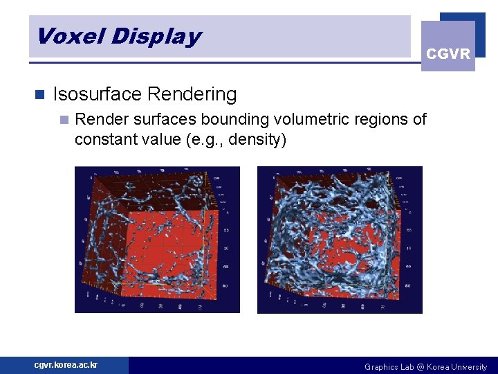 Voxel Display n CGVR Isosurface Rendering n Render surfaces bounding volumetric regions of constant
