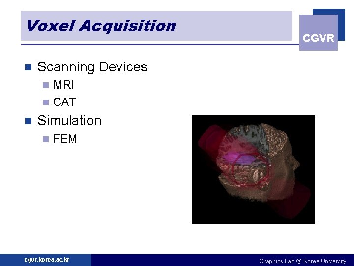 Voxel Acquisition n CGVR Scanning Devices MRI n CAT n n Simulation n FEM