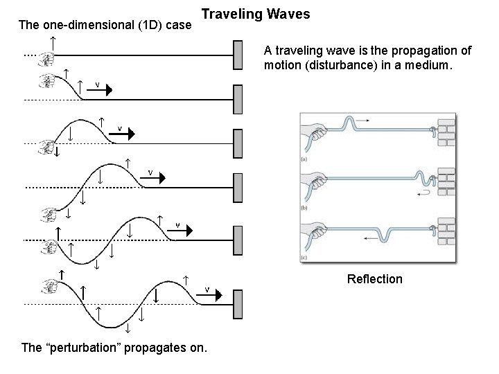 The one-dimensional (1 D) case Traveling Waves A traveling wave is the propagation of The one-dimensional (1 D) case Traveling Waves A traveling wave is the propagation of