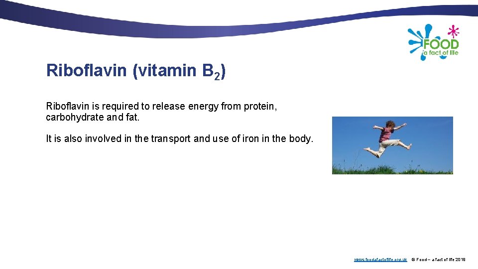 Riboflavin (vitamin B 2) Riboflavin is required to release energy from protein, carbohydrate and