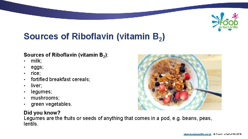 Sources of Riboflavin (vitamin B 2): • milk; • eggs; • rice; • fortified
