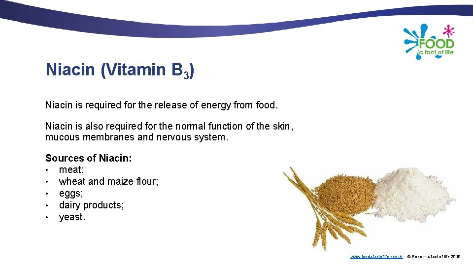 Niacin (Vitamin B 3) Niacin is required for the release of energy from food.