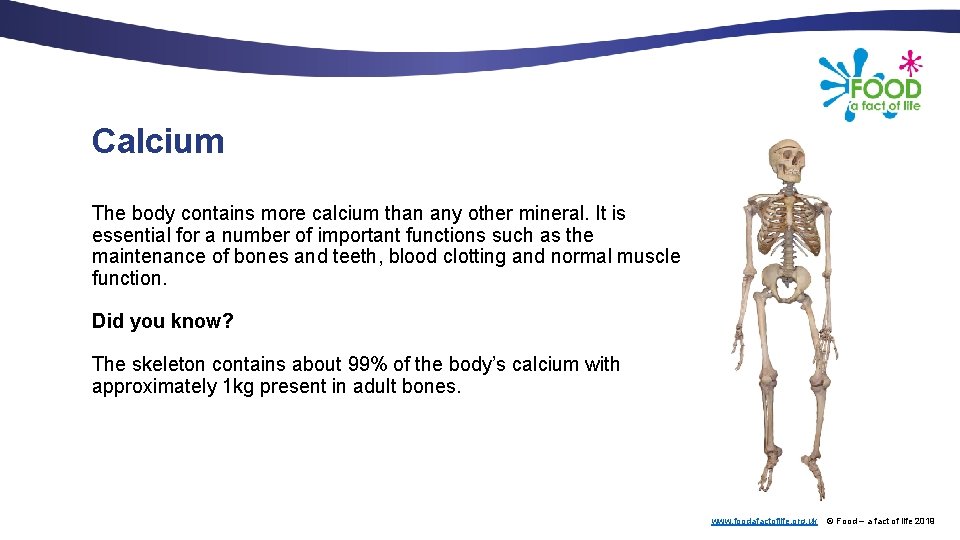 Calcium The body contains more calcium than any other mineral. It is essential for