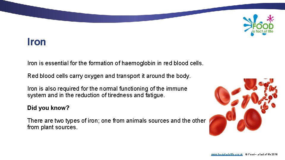 Iron is essential for the formation of haemoglobin in red blood cells. Red blood