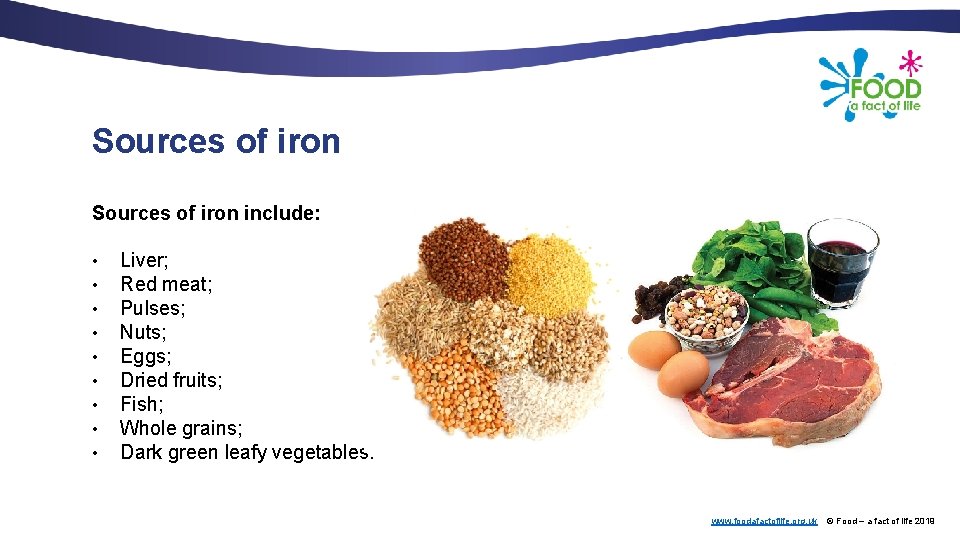 Sources of iron include: • • • Liver; Red meat; Pulses; Nuts; Eggs; Dried