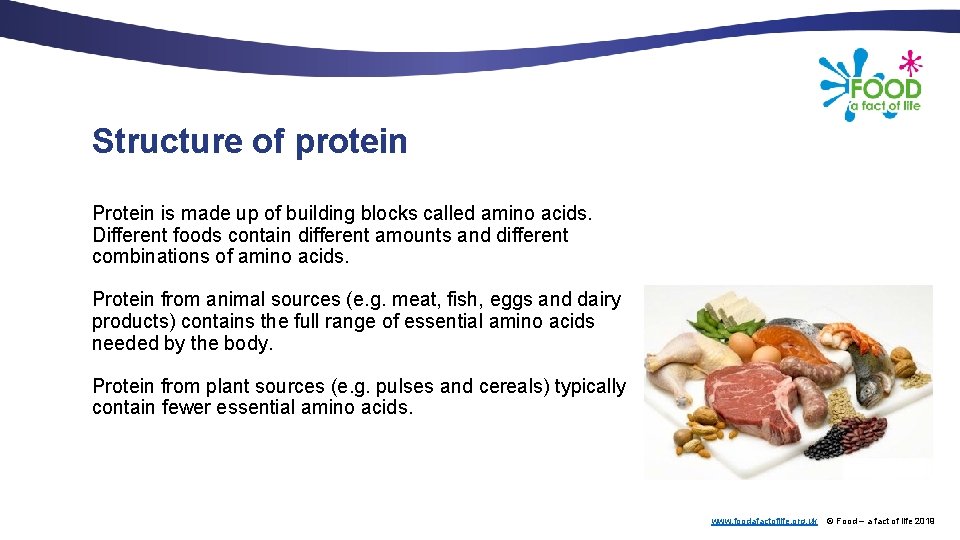 Structure of protein Protein is made up of building blocks called amino acids. Different